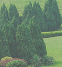 电话测压在线平台