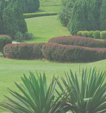 短信呼叫轰炸app